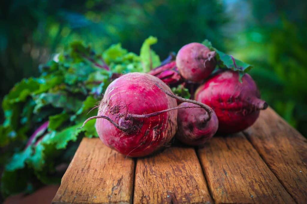 beetroot, food, diet, vegetable, agriculture, raw, beetroot, beetroot, beetroot, beetroot, beetroot