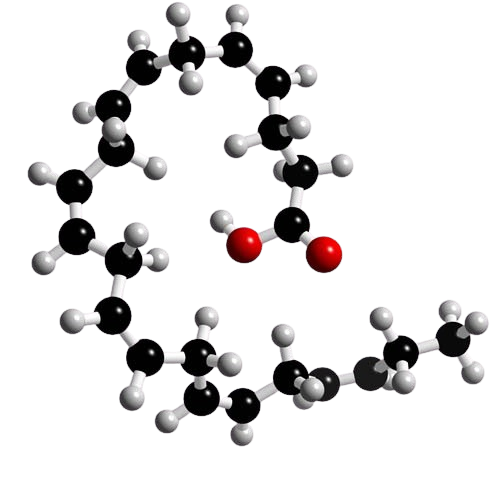 Visual of DHA molecular structure – proof you don’t need fish to meet your omega-3 needs