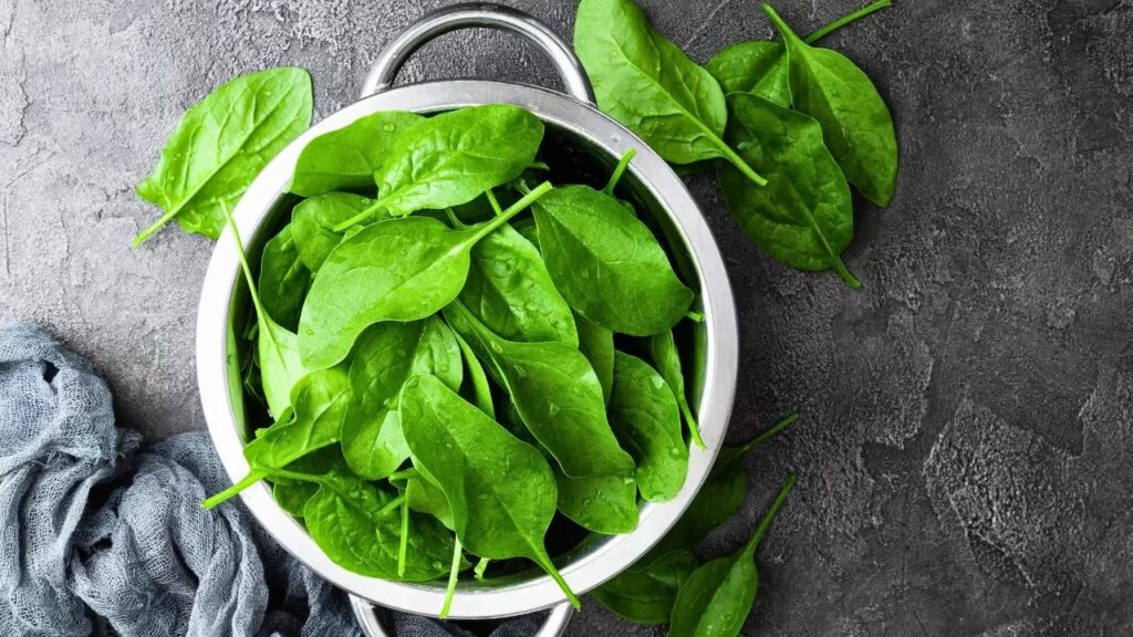 Fresh bowl of raw spinach leaves rich in antioxidants and nutrients to support nerve healing in diabetic neuropathy.